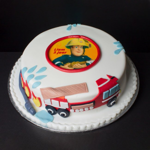 BRANDWEERMAN-SAM-WIT-FT-359