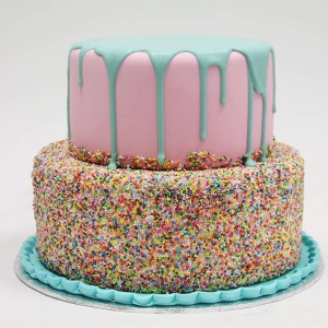 BROKEN-COLOURS-FT-229